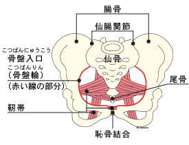 ���Ղ̃C���X�g